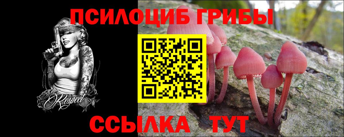 Урюпинск  Галлюциногенные грибы мухоморы  Вход с VPN  Галлюциногенные грибы Psilocybine cubensis 